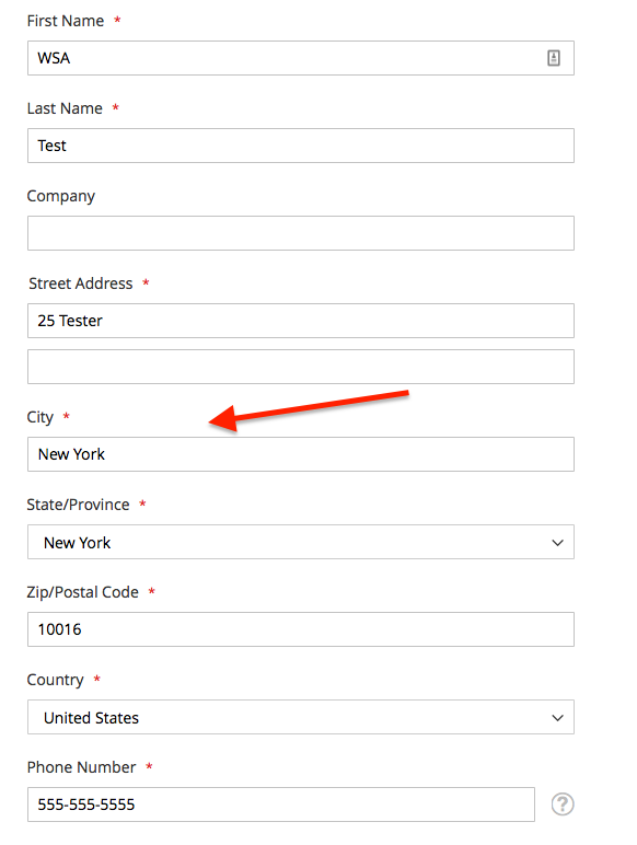 City Field in Magento Checkout