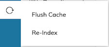 Flush Cache